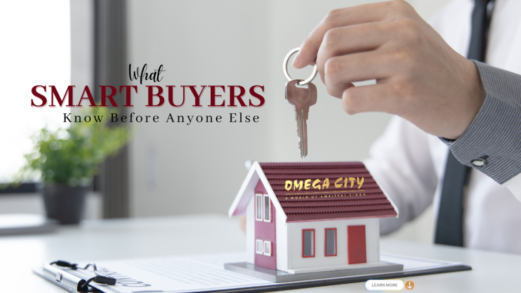 smart investment for smart buyers