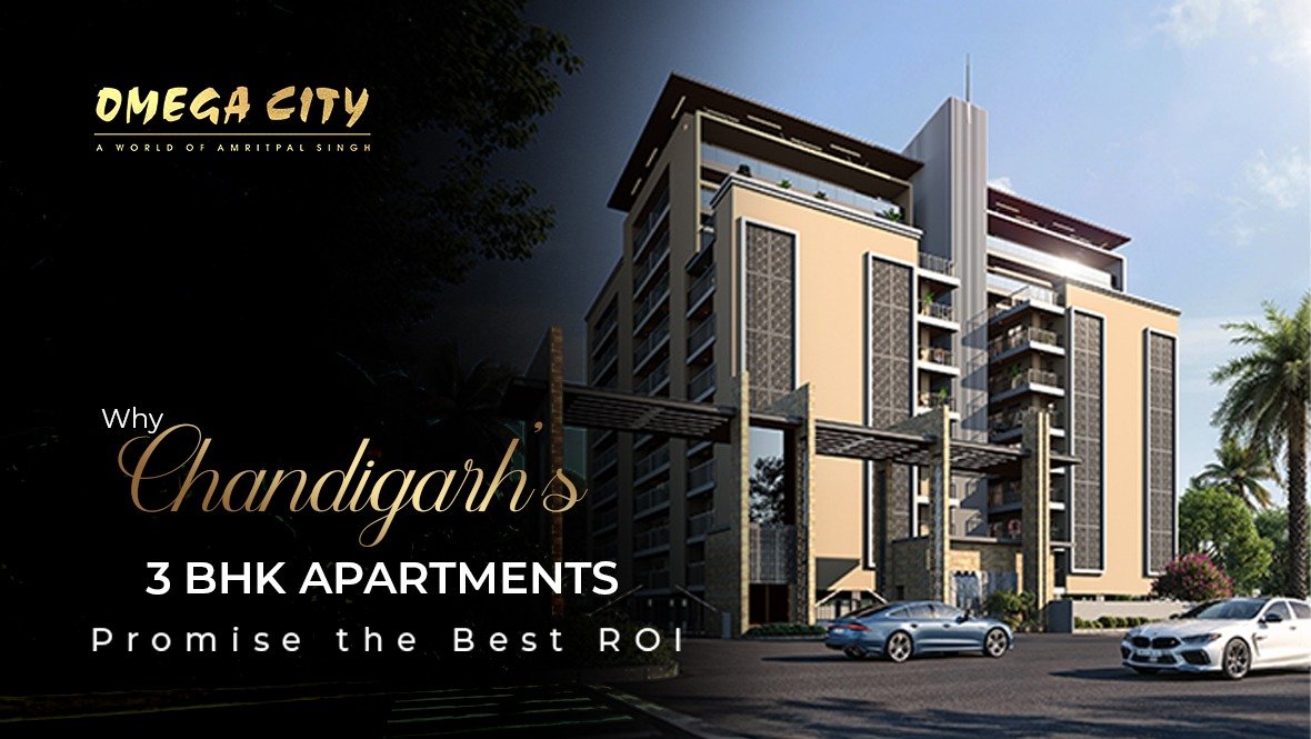Best ROI options in chandigarh